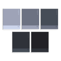 Тетрадь А5 48л кл. Феникс+ "Оттенки серого" выб.твин-лак