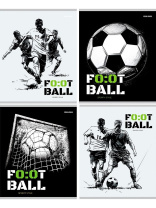 Тетрадь А5  96л кл. Проф-Пресс "Футбольная тема - 10"