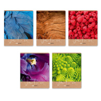 Тетрадь А5  96л кл. Светоч "Ах, лето!" выб.лак.