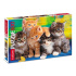 Пазлы  500 элементов  480*330мм.  "Дружные котята"