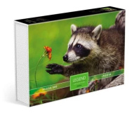 Пазлы  500 элементов  480*330мм. "LEGEND ZooStyle. Любопытный енот" + постер, в подар.уп-ке