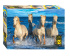 Пазлы  500 элементов  500*345мм.  "Четверка Нептуна"