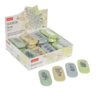 Ластик Hatber "Darwin"