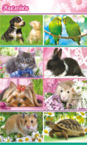 Наклейки детские 15*9см  "Домашние любимцы"