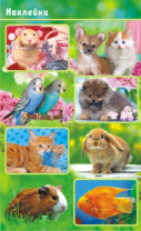 Наклейки детские 16*9см  "Домашние любимцы"