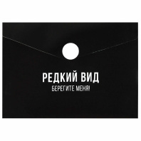 Конверт на кнопке  с рисунком 105*74мм, Фразы с характером