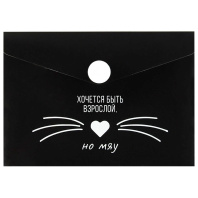 Конверт на кнопке  с рисунком 105*74мм, Фразы с характером