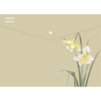 Конверт на кнопке  с рисунком А4 sigNATURE, 0,18мм, непрозрачный