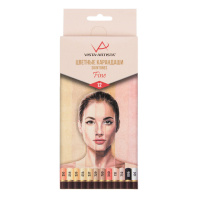 Карандаши цвет. 12цв  VISTA-ARTISTA  "Скинтонс"