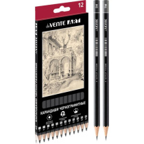 Набор карандашей 12 шт, deVENTE Art"(5Т, 4Т, 3Т, 2Т,Т, ТМ-2, М, 2М, 3М, 4М) шестигран. черный корпус