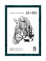 Фоторамка пластик 21*30 506 (Зеленый)