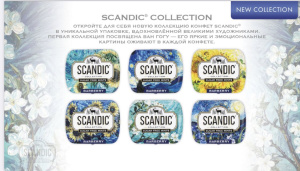 Драже освеж. б/с "SCANDIC. Барбарис" 14 гр / уп.18 шт./