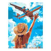 Картина по номерам на холсте 30*40см "Самолет в небе"