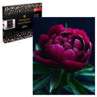 Мозаика алмазная по номерам на холсте 40*50см "Пион" с подрамником (частичн.выкл.)