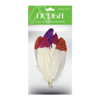 Набор Перья для декорирования 10 Яркий глиттер, 14-20см