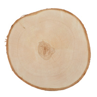 Заготовка деревянная Срез дерева , 20см, береза