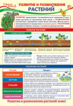 Плакат 23*42см "Окружающий мир в начальной школе. Развитие и размножение растений"