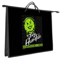 Папка А3 (460*345*40) с ручками, молния, пластик "На позитиве"