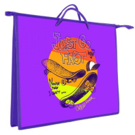 Папка А3 (460*345*40) с ручками, молния, пластик "Скейт граффити"