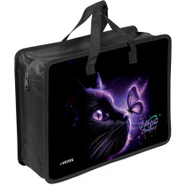 Папка А4 (335*260*100) с ручками, молния, пластик 3D" Magic Dream"