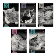 Блокнот А5  40л гребень "Кошки" клетка