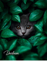 Дневник старш кл. обл. 7БЦ "Кот в листьях" выб.лак., 48л.