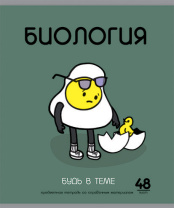 Комплект предметных тетрадей "ИИшница" 12 шт в упаковке, 48л., УФ твин лак