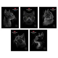 Тетрадь А5 48л кл. Hatber "Black Cat" мат.лам., 3Dлак, 5диз.в блоке