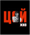 Тетрадь А5 48л кл. Полином "Цой. Кино 6" софт-тач