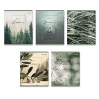 Тетрадь А5 48л кл. Светоч "Баланс" гренирование