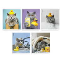 Тетрадь А5 48л кл. Феникс+ "Кот с уткой" выб.твин-лак