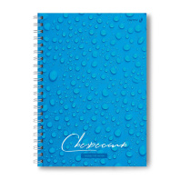 Тетрадь А4 7БЦ 160л кл. гребень Светоч "Свежесть" мат.лам., выб.лак.