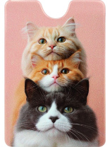 Обложка для пропуска/проездного "Ушастое трио" ПВХ Обложка для пропуска/проездного "Ушастое трио" ПВХ