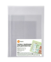 Обложка-органайзер  для документов разного формата, ПВХ, матово-прозрачная