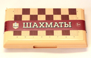 Шахматы пластиковые