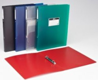Папка 2 кольца 25 мм 0,65 мм пластик А4 ассорти