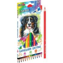 Карандаши цвет. 12цв deVENTE Trio  2М, трехгранные