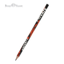 Карандаш ч/гр BV "HappyGraphix. Keep Away. Private" НВ