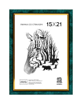 Фоторамка пластик 15*21 206 (Зеленый)