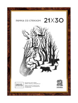 Фоторамка пластик 21*30 201 (Коричневый)