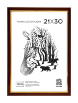 Фоторамка пластик 21*30 205 (Капучино)