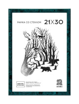 Фоторамка пластик 21*30 506 (Зеленый)