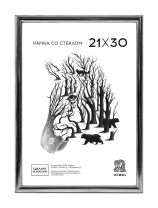 Фоторамка пластик 21*30 513 (Серебряная)