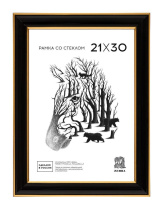 Фоторамка пластик 21*30 608 (Черная с золотым кантом)