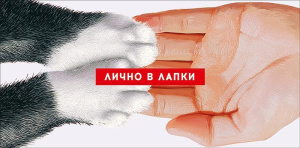 Конверт для денег "Лично в лапки"