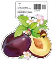 Вырубная фигурка 19*16см "Слива" УФ -лак Вырубная фигурка 19*16см "Слива" УФ -лак