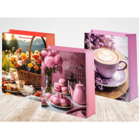 Пакет подар. бумажн. 12*15*6 см, 140гр/м2  Микс женский