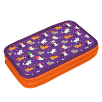 Пенал 2 отд. (205*125*40) молния, лам.картон "Озорные котята"