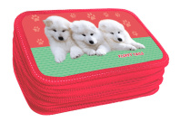 Пенал 3 отд. (205*125*40) молния, лам.картон "Самоеды"