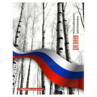 Дневник  универсальн. интегр.пер. "Дневник Российского школьника. Березы" мат.лам., выб.УФ-лак
